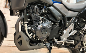 SUZUKI STROM 250ABS DS11A