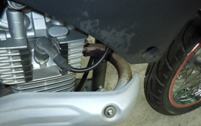 KAWASAKI KLX125D TRACKER 2026 LX125D