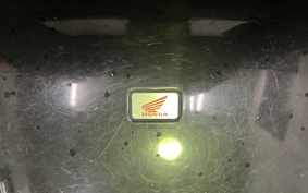 HONDA FORESIGHT MF04