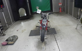 OTHER UNREGISTERED MODEL by BDS50 2007