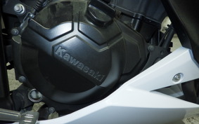 KAWASAKI Z250 ER250C