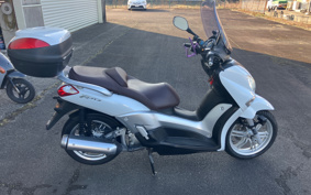 YAMAHA X-CITY250 SG19