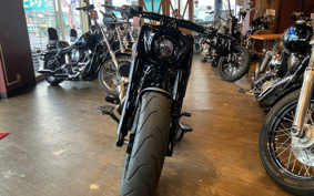 HARLEY FLFB 2025 YF9