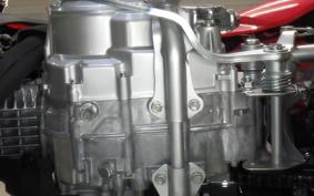 HONDA CRF110F 2009 JE02