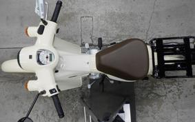 HONDA C110 SUPER CUB