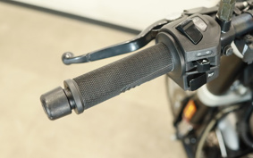 OTHER Svartpilen401 2019