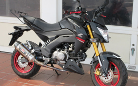 KAWASAKI Z125 PRO BR125H