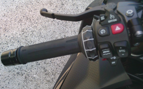 YAMAHA FZ1 FAZER 2011 RN17