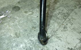 KAWASAKI Z250 SL 2021 BR250E