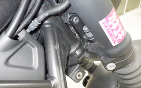 HONDA REBEL 250 S MC49