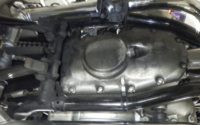 KAWASAKI W800 2011 EJ800A