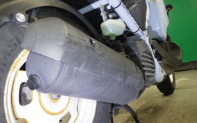 HONDA ZOOMER 2024 AF58