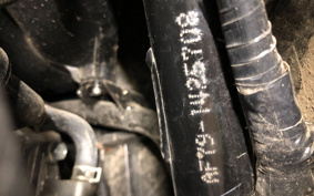 HONDA  TACT  BASIC  AF79