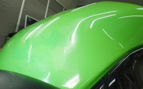 KAWASAKI NINJA 250 SL