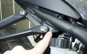 YAMAHA YZF-R3 2019 RH13J