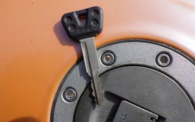 YAMAHA FZR1000 1989 3GM