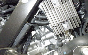 SUZUKI Vｽﾄﾛｰﾑ650XTA 2021 C733A