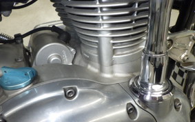 KAWASAKI W800 2016 EJ800A