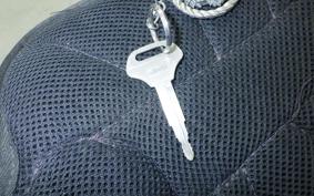 SUZUKI GSX250FX ZR250C