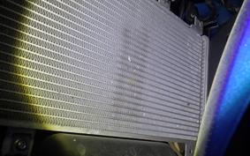 KAWASAKI NINJA 250 EX250P