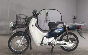 SUZUKI GLASS TRACKER BIG BOY NJ47A