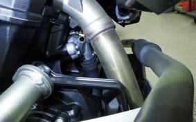 TRIUMPH TIGER 900 RALLY PRO 2026