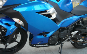 KAWASAKI NINJA 250 EX250P