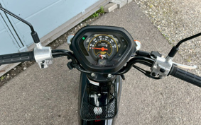 HONDA  CROSS  CUB 50KUMAMON VERSION  AA06