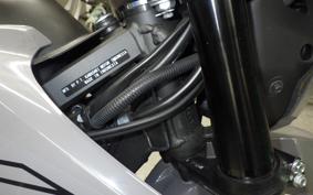 KAWASAKI KLX230 SM 2021 LX232A