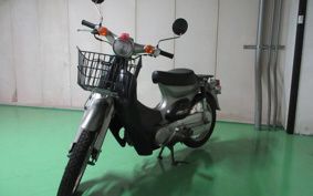 HONDA LITTLE CUB C50