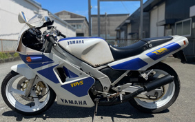 YAMAHA TZR250-1 1KT