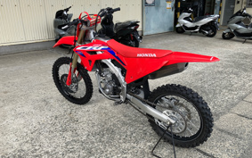 HONDA CRF250 RALLY
