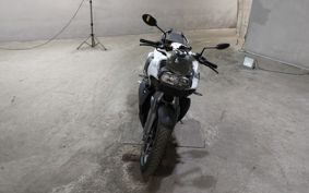 BMW K1300R 0518