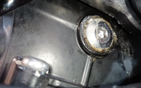 TRIUMPH DAYTONA675 2010 TMD116