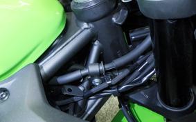 KAWASAKI ZX-4R SE 2025 ZX400P