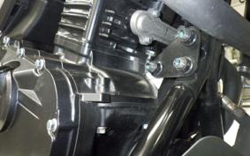 OTHER Vｽﾄﾛｰﾑ250A 2019