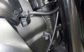 SUZUKI GSX-S1000 2021