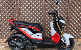HONDA ZOOMERX JF62