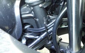 KAWASAKI NINJA 250 EX250L