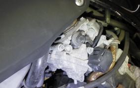 HONDA HORNET 250 2022 MC31