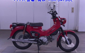 OTHER  CROSS  CUB 110-2