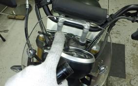 TRIUMPH SCRAMBLER 400X 2024