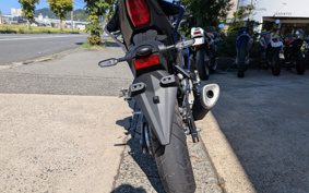 YAMAHA YZF-R25 RG95J