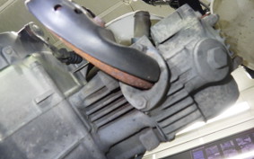 HONDA GORILLA 2024 AB27