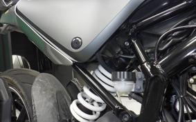 HUSQVARNA SVARTPILEN 250 2010