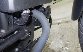 HONDA REBEL 250 E-Clutch 2021 MC49