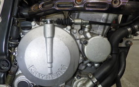 KAWASAKI KLX250D TRACKER 2024 LX250E