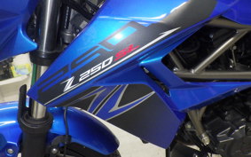 KAWASAKI Z250 SL 2023 BR250E