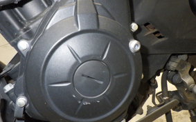 YAMAHA MT-25 2024 RG43J