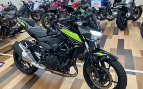 KAWASAKI Z250 EX250P